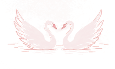 Two swans forming a heart shape