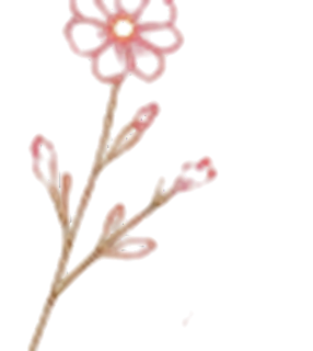 The Mini bouquet illustration