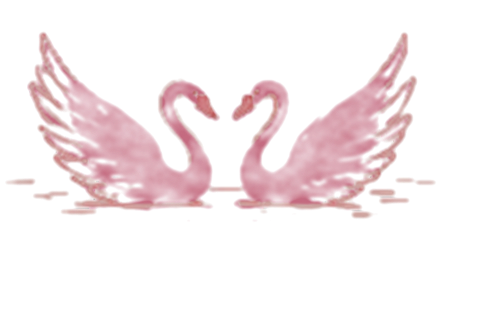 Two hand-drawn swans