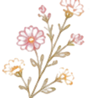 The Classic bouquet illustration